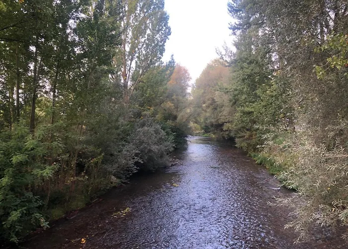 Castellana Jardin 1 Y 2 Parking Y Piscina Gratis!! アパート *